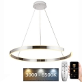 LED Zatemnitveni lestenec na vrvici LED/100W/230V 3000-6500K + Daljinski upravljalnik