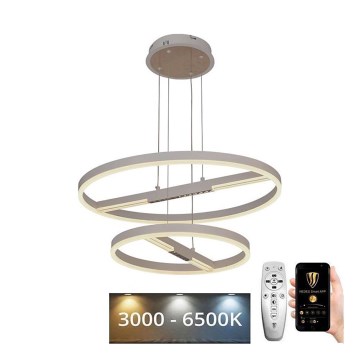 LED Zatemnitveni lestenec na vrvici LED/100W/230V 3000-6500K + Daljinski upravljalnik