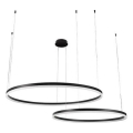 LED Zatemnitveni lestenec na vrvici LED/100W/230V 3000-6500K + Daljinski upravljalnik