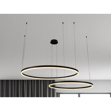 LED Zatemnitveni lestenec na vrvici LED/100W/230V 3000-6500K pr. 80 cm + Daljinski upravljalnik