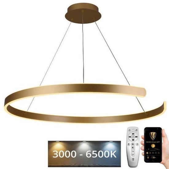 LED Zatemnitveni lestenec na vrvici LED/100W/230V 3000-6500K pr. 80 cm + Daljinski upravljalnik