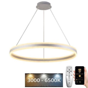 LED Zatemnitveni lestenec na vrvici LED/110W/230V 3000-6500K + Daljinski upravljalnik