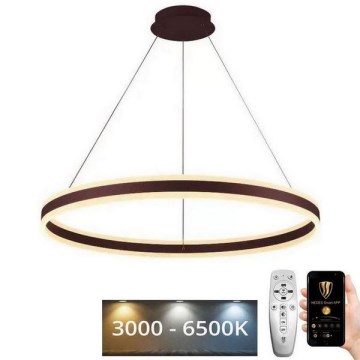 LED Zatemnitveni lestenec na vrvici LED/110W/230V 3000-6500K + Daljinski upravljalnik