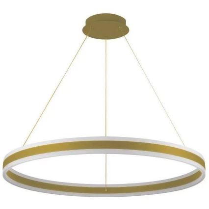 LED Zatemnitveni lestenec na vrvici LED/110W/230V 3000-6500K pr. 80 cm + Daljinski upravljalnik