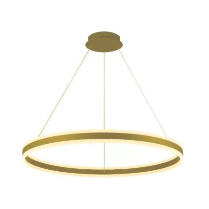 LED Zatemnitveni lestenec na vrvici LED/110W/230V 3000-6500K pr. 80 cm + Daljinski upravljalnik