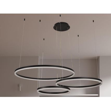 LED Zatemnitveni lestenec na vrvici LED/125W/230V 3000-6500K pr. 80 cm + Daljinski upravljalnik
