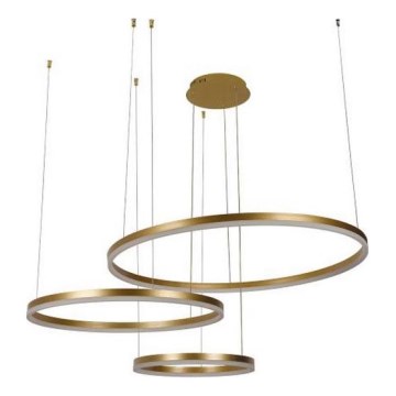 LED Zatemnitveni lestenec na vrvici LED/125W/230V 3000-6500K + Daljinski upravljalnik