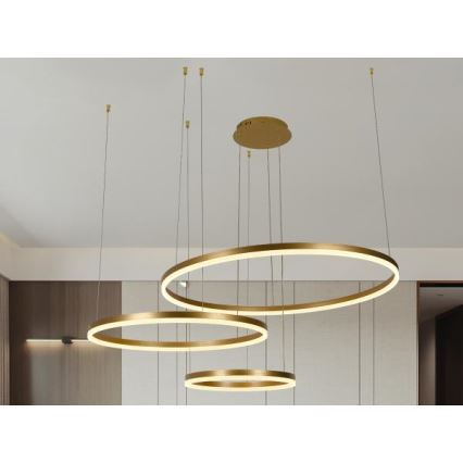LED Zatemnitveni lestenec na vrvici LED/125W/230V 3000-6500K pr. 80 cm + Daljinski upravljalnik