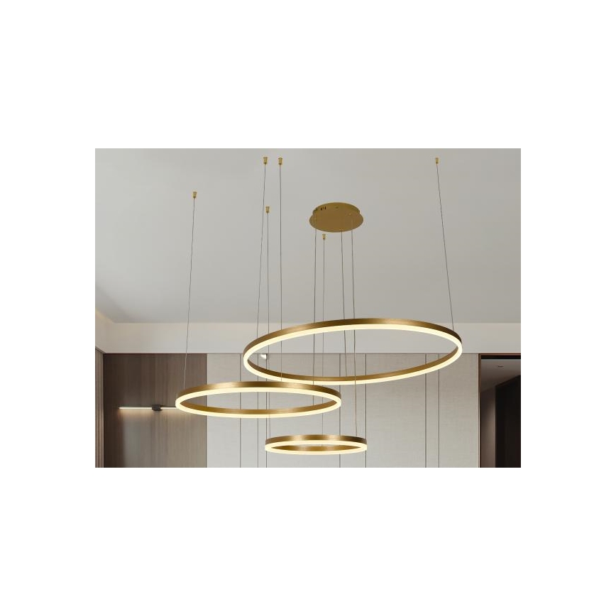LED Zatemnitveni lestenec na vrvici LED/125W/230V 3000-6500K pr. 80 cm + Daljinski upravljalnik