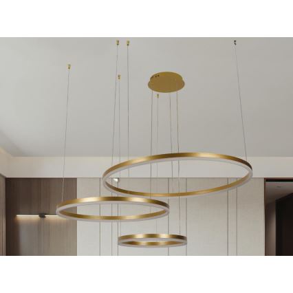 LED Zatemnitveni lestenec na vrvici LED/125W/230V 3000-6500K pr. 80 cm + Daljinski upravljalnik