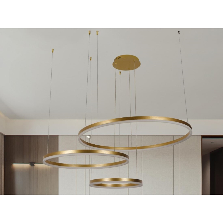 LED Zatemnitveni lestenec na vrvici LED/125W/230V 3000-6500K pr. 80 cm + Daljinski upravljalnik