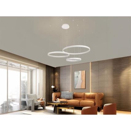LED Zatemnitveni lestenec na vrvici LED/125W/230V 3000-6500K pr. 80 cm + Daljinski upravljalnik