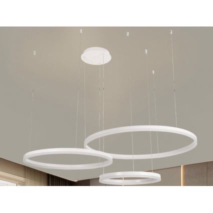 LED Zatemnitveni lestenec na vrvici LED/125W/230V 3000-6500K pr. 80 cm + Daljinski upravljalnik
