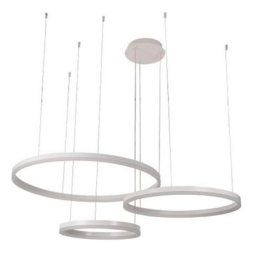 LED Zatemnitveni lestenec na vrvici LED/125W/230V 3000-6500K pr. 80 cm + Daljinski upravljalnik