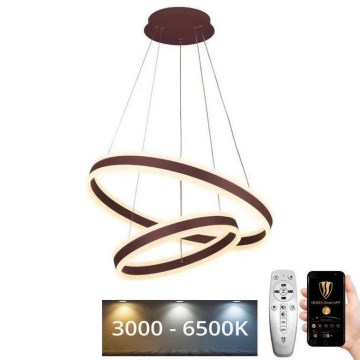 LED Zatemnitveni lestenec na vrvici LED/135W/230V 3000-6500K pr. 60 cm + Daljinski upravljalnik