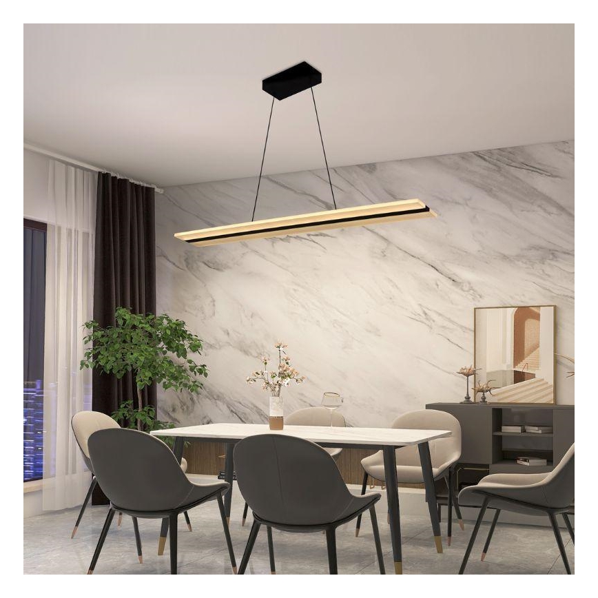 LED Zatemnitveni lestenec na vrvici LED/40W/230V 3000-6500K črna + Daljinski upravljalnik