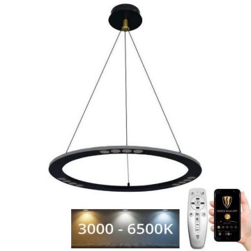 LED Zatemnitveni lestenec na vrvici LED/40W/230V 3000-6500K + Daljinski upravljalnik