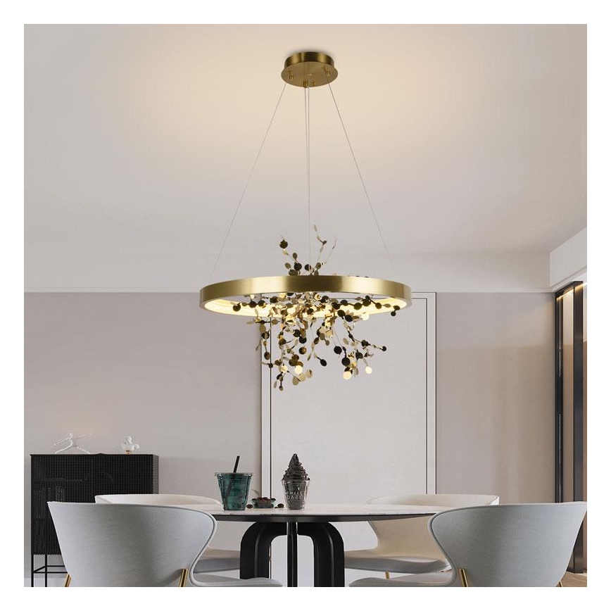 LED Zatemnitveni lestenec na vrvici LED/40W/230V 3000-6500K zlata + Daljinski upravljalnik