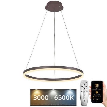 LED Zatemnitveni lestenec na vrvici LED/42W/230V 3000-6500K + Daljinski upravljalnik