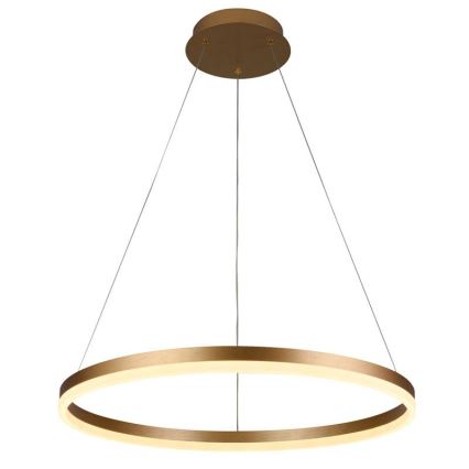 LED Zatemnitveni lestenec na vrvici LED/42W/230V 3000-6500K pr. 60 cm + Daljinski upravljalnik
