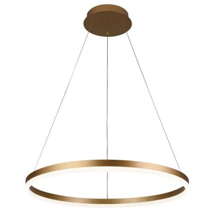 LED Zatemnitveni lestenec na vrvici LED/42W/230V 3000-6500K pr. 60 cm + Daljinski upravljalnik