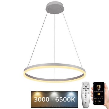 LED Zatemnitveni lestenec na vrvici LED/42W/230V 3000-6500K + Daljinski upravljalnik