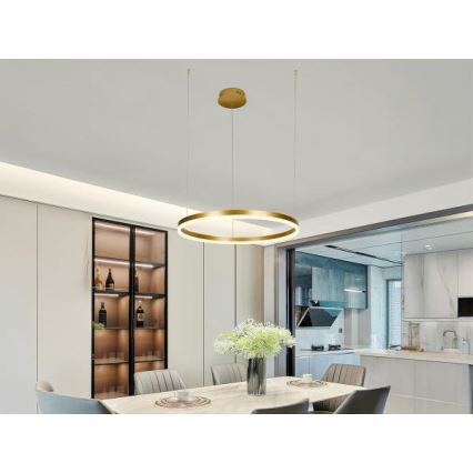 LED Zatemnitveni lestenec na vrvici LED/42W/230V 3000-6500K + Daljinski upravljalnik