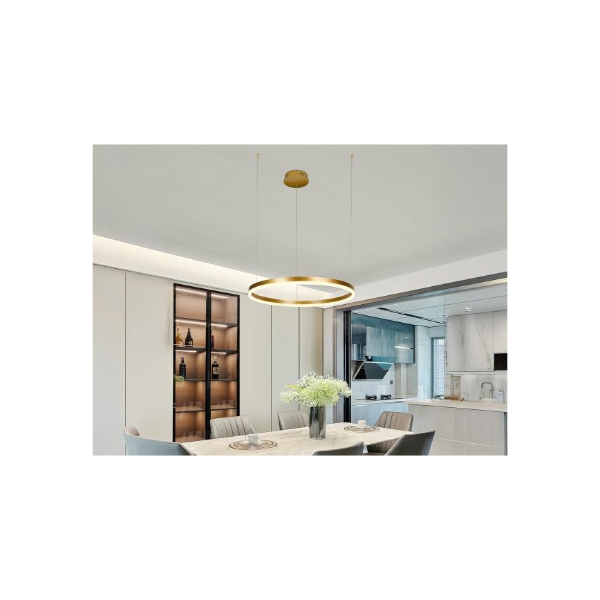 LED Zatemnitveni lestenec na vrvici LED/42W/230V 3000-6500K + Daljinski upravljalnik