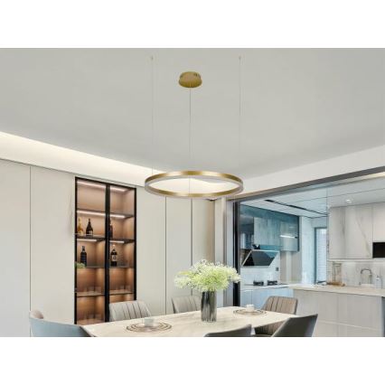 LED Zatemnitveni lestenec na vrvici LED/42W/230V 3000-6500K + Daljinski upravljalnik
