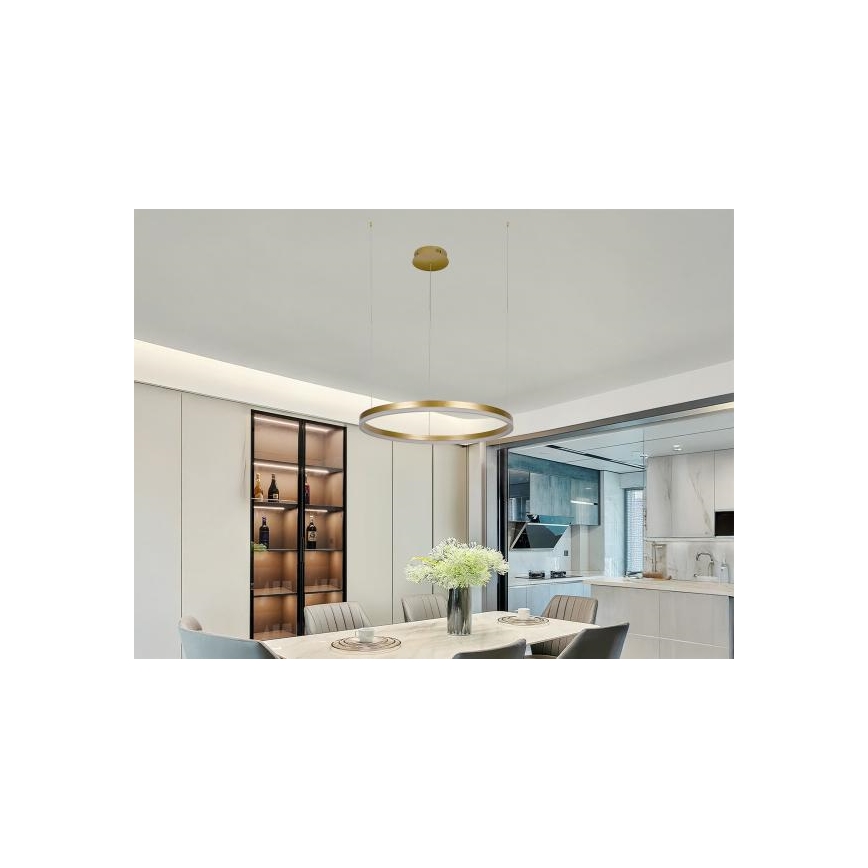 LED Zatemnitveni lestenec na vrvici LED/42W/230V 3000-6500K + Daljinski upravljalnik