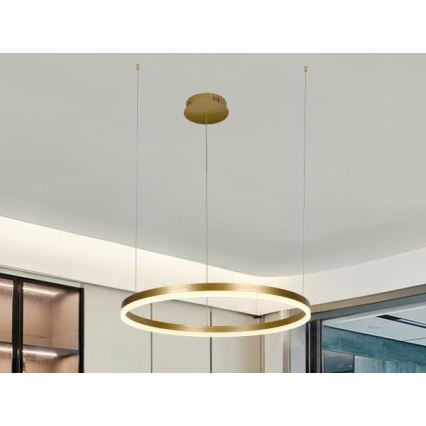 LED Zatemnitveni lestenec na vrvici LED/42W/230V 3000-6500K + Daljinski upravljalnik