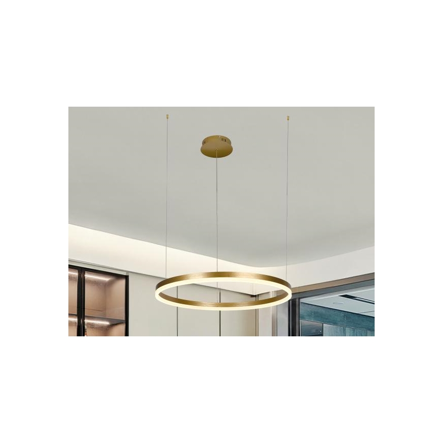 LED Zatemnitveni lestenec na vrvici LED/42W/230V 3000-6500K + Daljinski upravljalnik