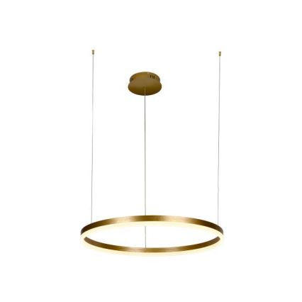 LED Zatemnitveni lestenec na vrvici LED/42W/230V 3000-6500K + Daljinski upravljalnik