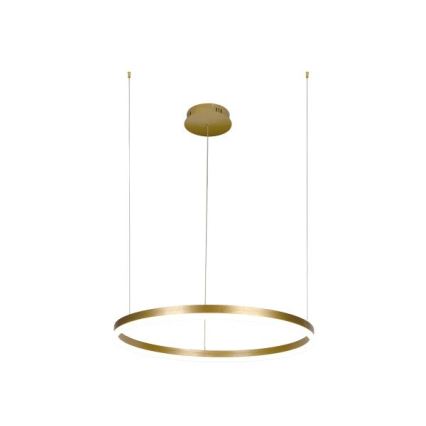 LED Zatemnitveni lestenec na vrvici LED/42W/230V 3000-6500K + Daljinski upravljalnik