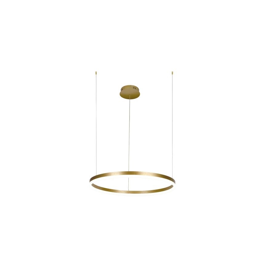 LED Zatemnitveni lestenec na vrvici LED/42W/230V 3000-6500K + Daljinski upravljalnik