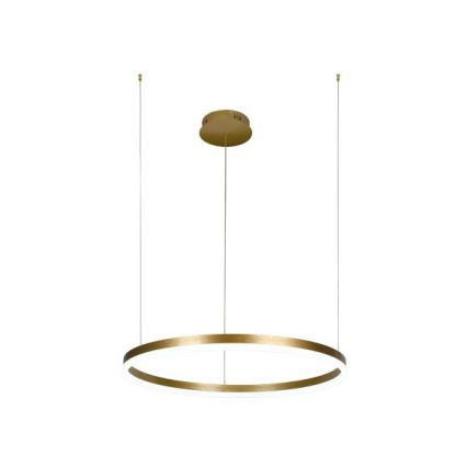 LED Zatemnitveni lestenec na vrvici LED/42W/230V 3000-6500K + Daljinski upravljalnik