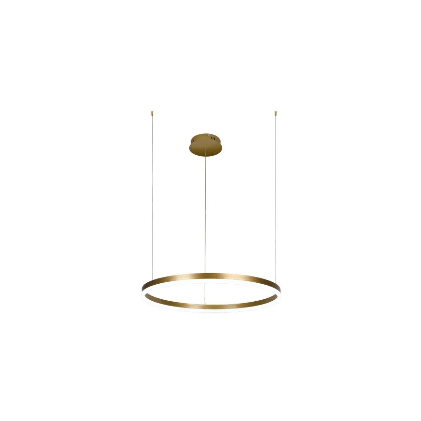 LED Zatemnitveni lestenec na vrvici LED/42W/230V 3000-6500K + Daljinski upravljalnik