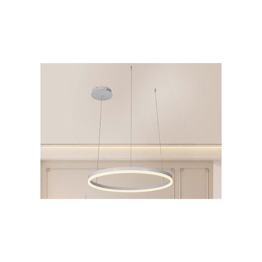LED Zatemnitveni lestenec na vrvici LED/42W/230V 3000-6500K + Daljinski upravljalnik