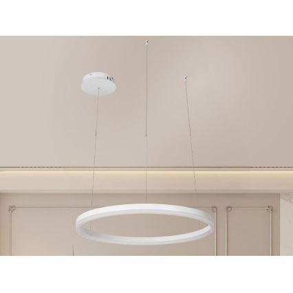 LED Zatemnitveni lestenec na vrvici LED/42W/230V 3000-6500K + Daljinski upravljalnik