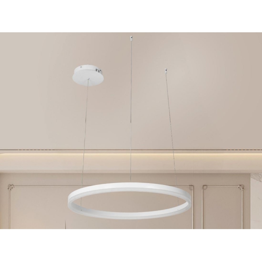 LED Zatemnitveni lestenec na vrvici LED/42W/230V 3000-6500K + Daljinski upravljalnik