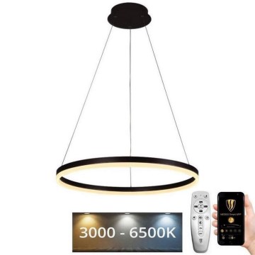 LED Zatemnitveni lestenec na vrvici LED/42W/230V 3000-6500K pr. 60 cm + Daljinski upravljalnik