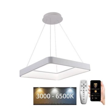 LED Zatemnitveni lestenec na vrvici LED/55W/230V 3000-6500K bela + Daljinski upravljalnik