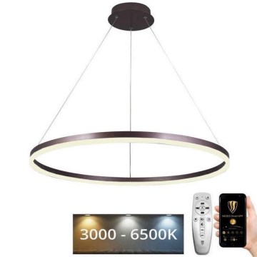 LED Zatemnitveni lestenec na vrvici LED/55W/230V 3000-6500K + Daljinski upravljalnik