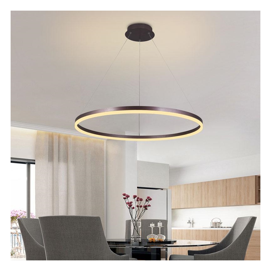 LED Zatemnitveni lestenec na vrvici LED/55W/230V 3000-6500K + Daljinski upravljalnik