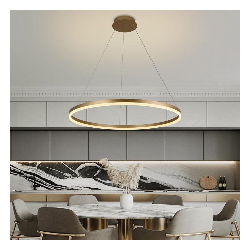 LED Zatemnitveni lestenec na vrvici LED/55W/230V 3000-6500K + Daljinski upravljalnik