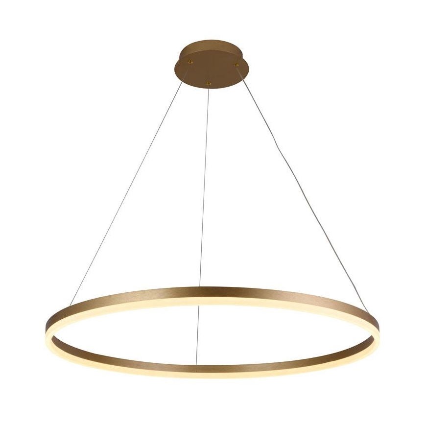 LED Zatemnitveni lestenec na vrvici LED/55W/230V 3000-6500K + Daljinski upravljalnik