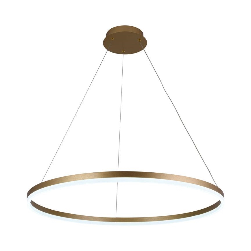 LED Zatemnitveni lestenec na vrvici LED/55W/230V 3000-6500K + Daljinski upravljalnik