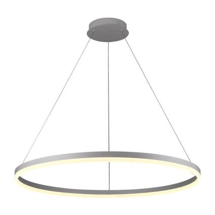 LED Zatemnitveni lestenec na vrvici LED/55W/230V 3000-6500K pr. 80 cm + Daljinski upravljalnik