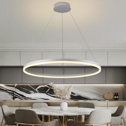LED Zatemnitveni lestenec na vrvici LED/55W/230V 3000-6500K pr. 80 cm + Daljinski upravljalnik