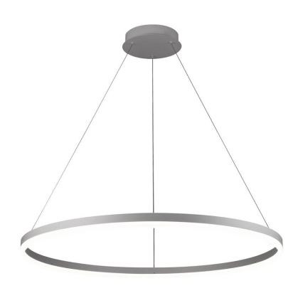 LED Zatemnitveni lestenec na vrvici LED/55W/230V 3000-6500K pr. 80 cm + Daljinski upravljalnik